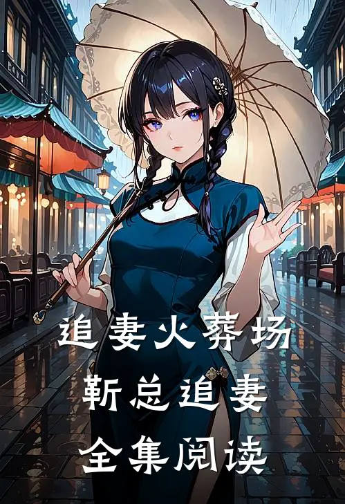 追妻火葬场靳总追妻全集阅读