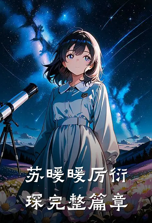 苏暖暖厉衍琛完整篇章