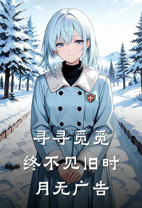 寻寻觅觅，终不见旧时月无广告