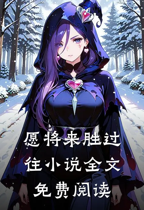 愿将来胜过往小说全文免费阅读