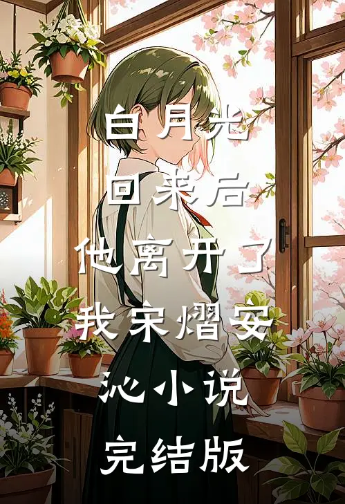 白月光回来后，他离开了我宋熠安沁小说完结版