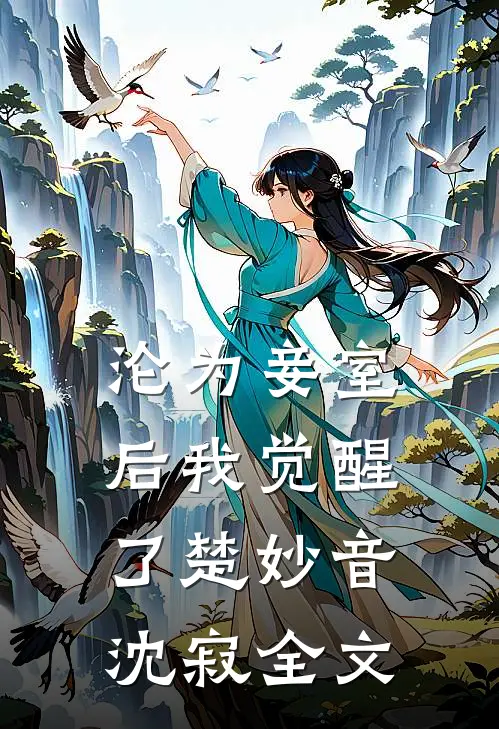 沦为妾室后我觉醒了楚妙音沈寂全文