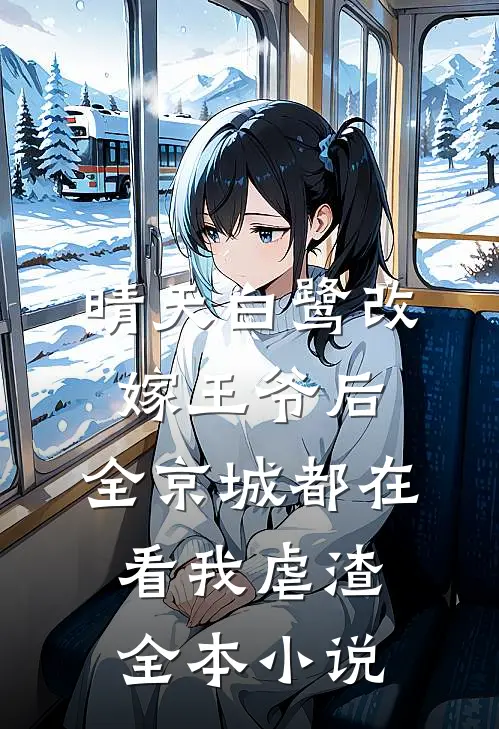 晴天白鹭改嫁王爷后,全京城都在看我虐渣全本小说