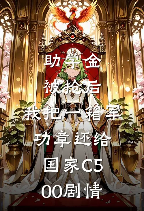 助学金被抢后，我把一箱军功章还给国家C500剧情