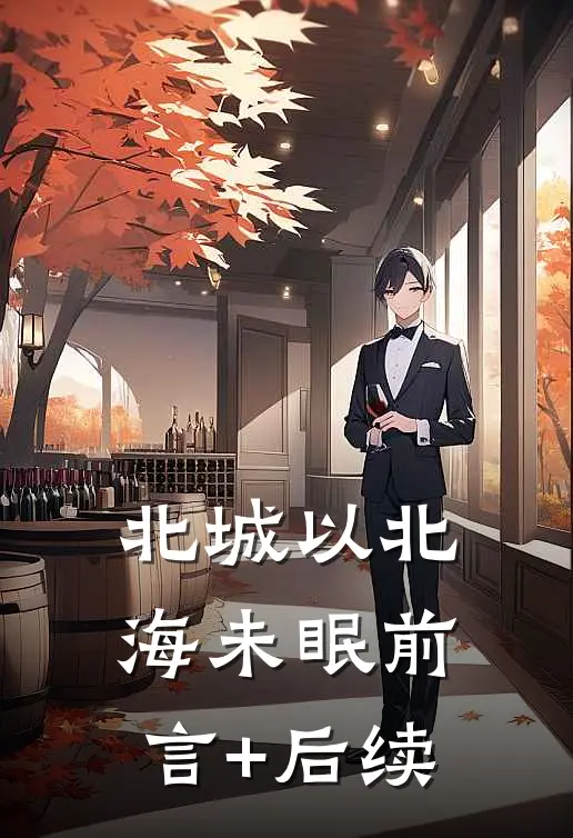北城以北海未眠前言+后续