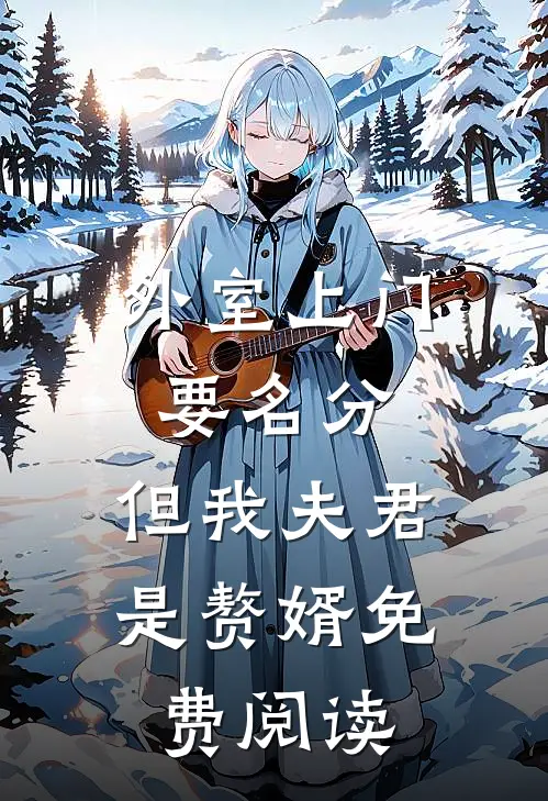 外室上门要名分，但我夫君是赘婿免费阅读
