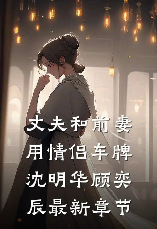 丈夫和前妻用情侣车牌沈明华顾奕辰最新章节