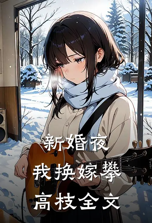 新婚夜，我换嫁攀高枝全文