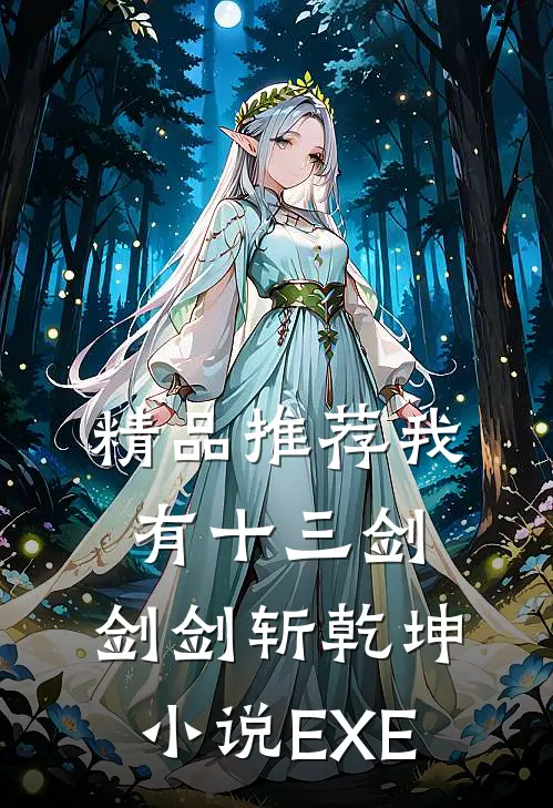 精品推荐我有十三剑,剑剑斩乾坤小说EXE