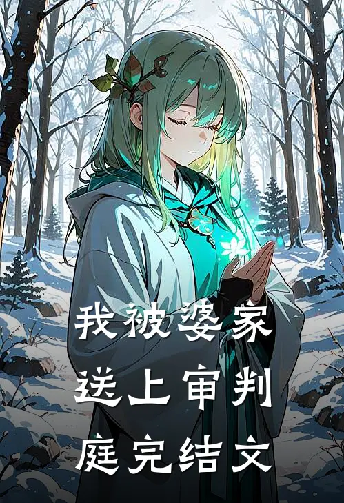 我被婆家送上审判庭完结文