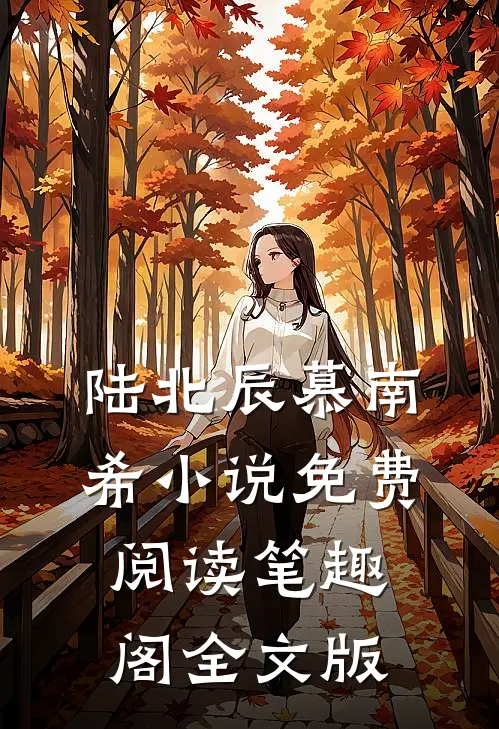 陆北辰慕南希小说免费阅读笔趣阁全文版