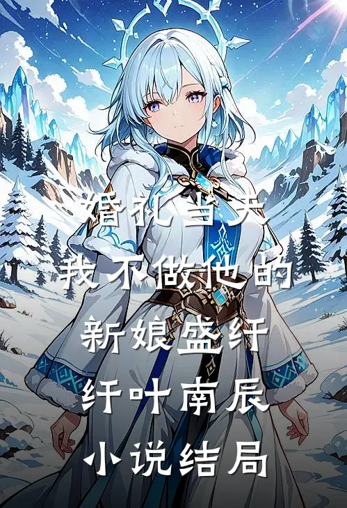 婚礼当天，我不做他的新娘盛纤纤叶南辰小说结局
