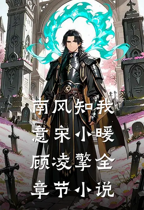 南风知我意宋小暖顾凌擎全章节小说