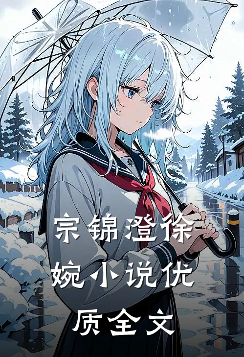 宗锦澄徐婉小说优质全文