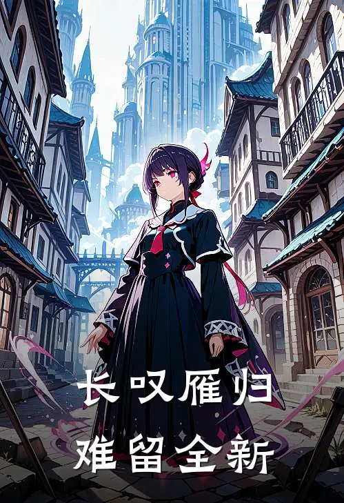 长叹雁归难留全新