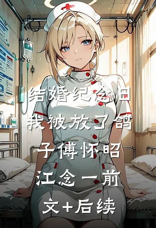 结婚纪念日，我被放了鸽子傅怀昭江念一前文+后续