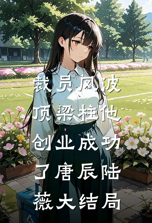 裁员风波：顶梁柱他创业成功了唐辰陆薇大结局