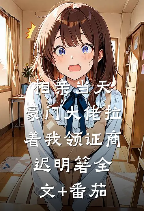 相亲当天，豪门大佬拉着我领证商迟明箬全文+番茄