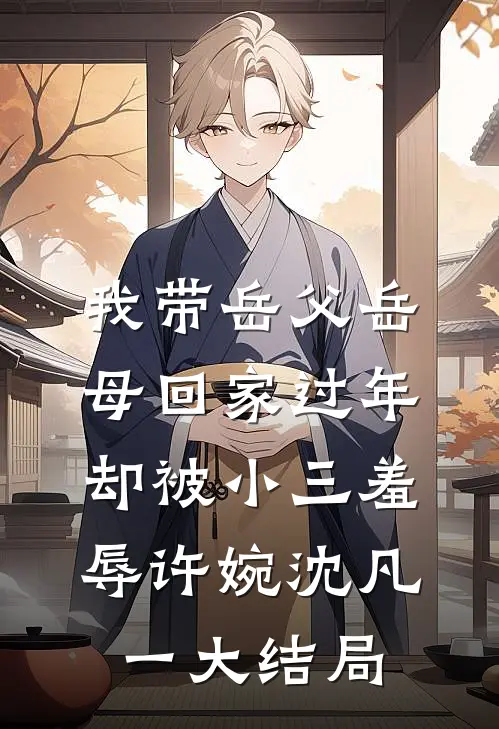 我带岳父岳母回家过年，却被小三羞辱许婉沈凡一大结局