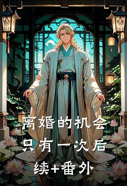 离婚的机会只有一次后续+番外