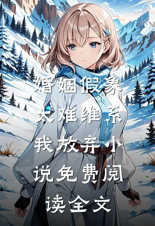 婚姻假象太难维系，我放弃小说免费阅读全文