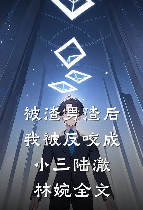 被渣男渣后，我被反咬成小三陆澈林婉全文