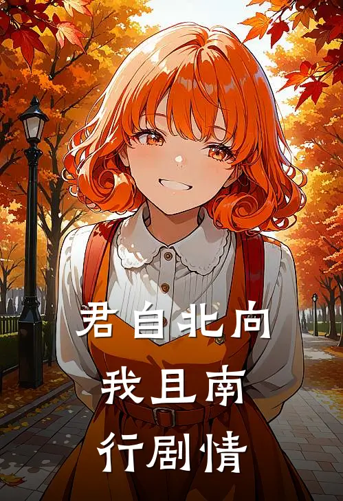 君自北向,我且南行剧情