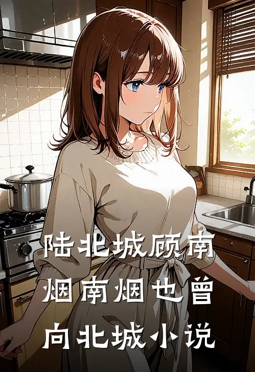 陆北城顾南烟南烟也曾向北城小说