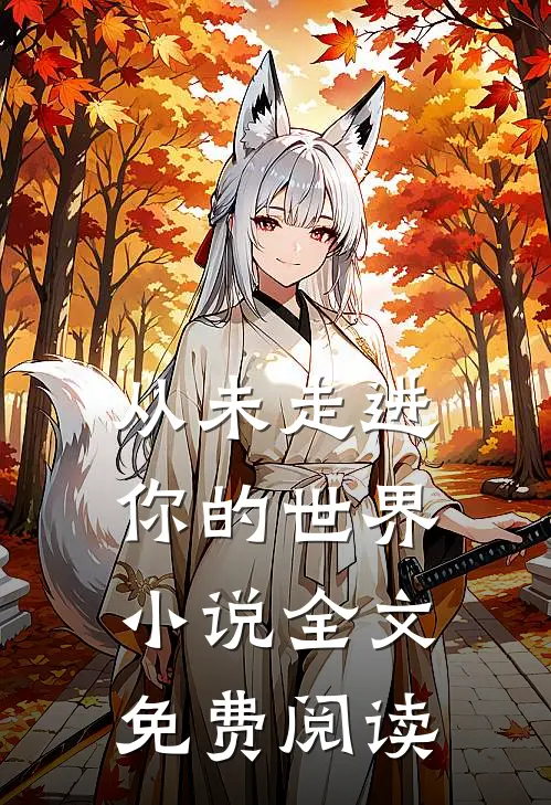从未走进你的世界小说全文免费阅读