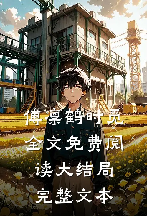 傅凛鹤时觅全文免费阅读大结局完整文本