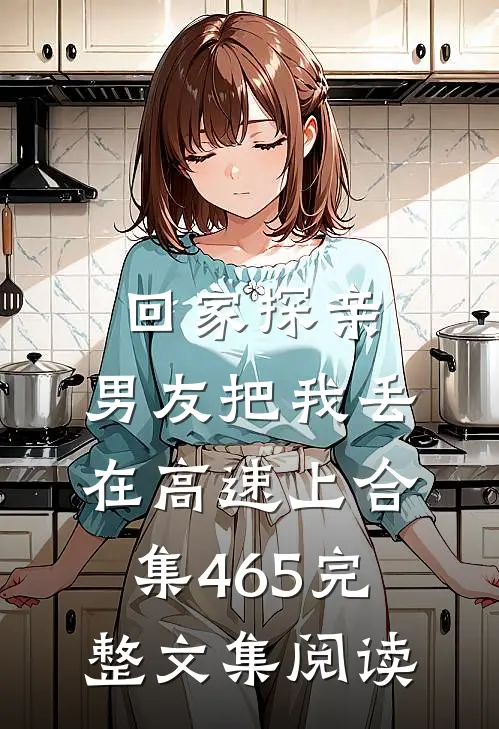 回家探亲，男友把我丢在高速上合集465完整文集阅读