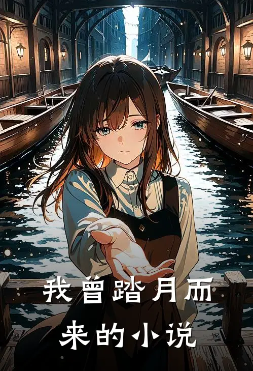 我曾踏月而来的小说