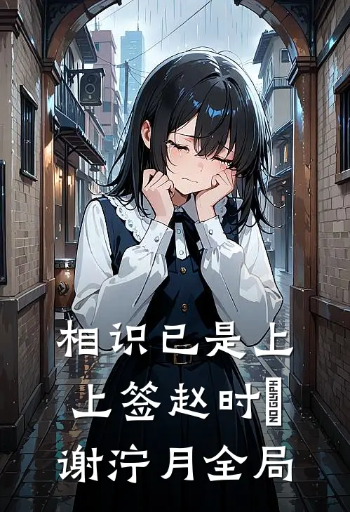 相识已是上上签赵时璟谢泞月全局