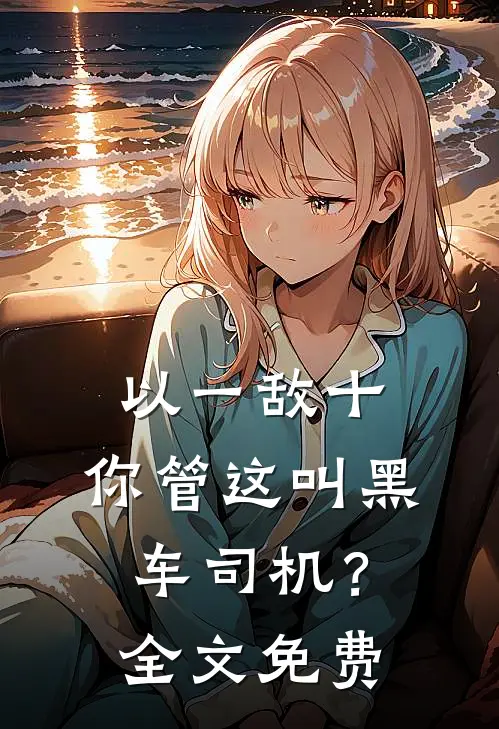 以一敌十，你管这叫黑车司机？全文免费