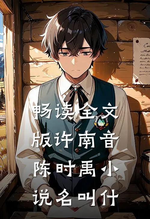 畅读全文版许南音陈时禹小说名叫什