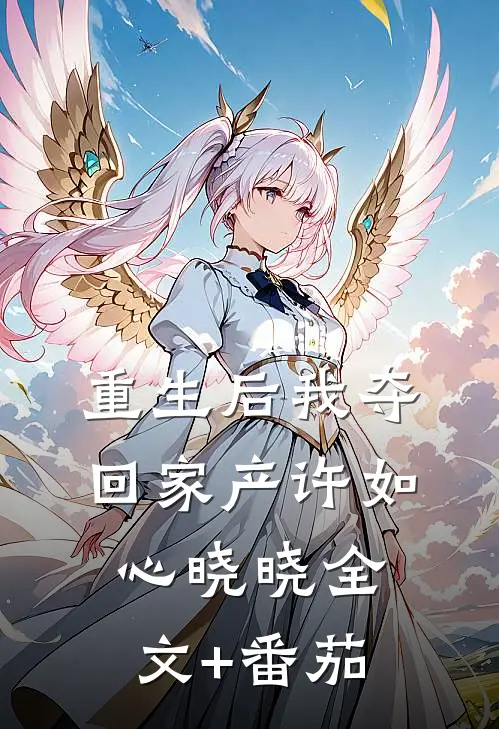 重生后我夺回家产许如心晓晓全文+番茄