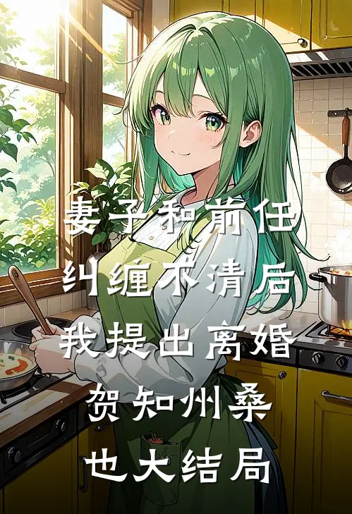 妻子和前任纠缠不清后我提出离婚贺知州桑也大结局