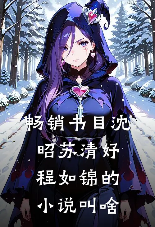 畅销书目沈昭苏清妤程如锦的小说叫啥