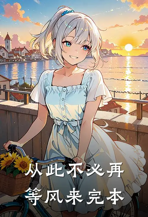 从此不必再等风来完本