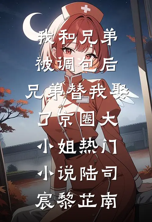 我和兄弟被调包后，兄弟替我娶了京圈大小姐热门小说陆司宸黎芷南