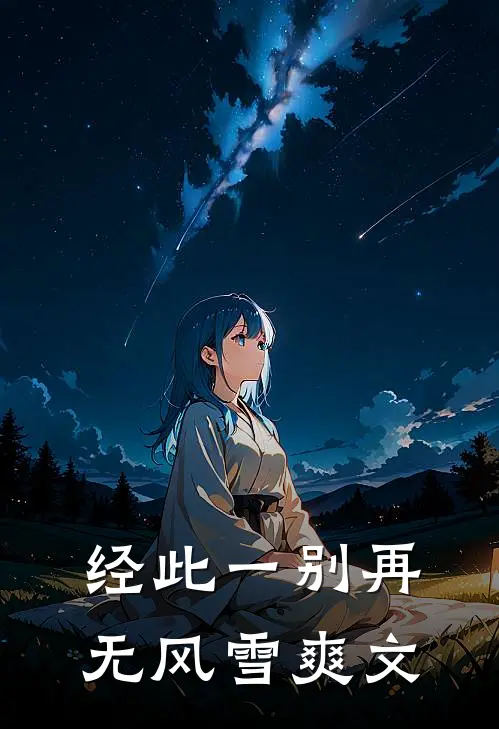 经此一别再无风雪爽文