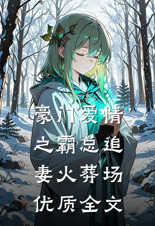 豪门爱情之霸总追妻火葬场优质全文