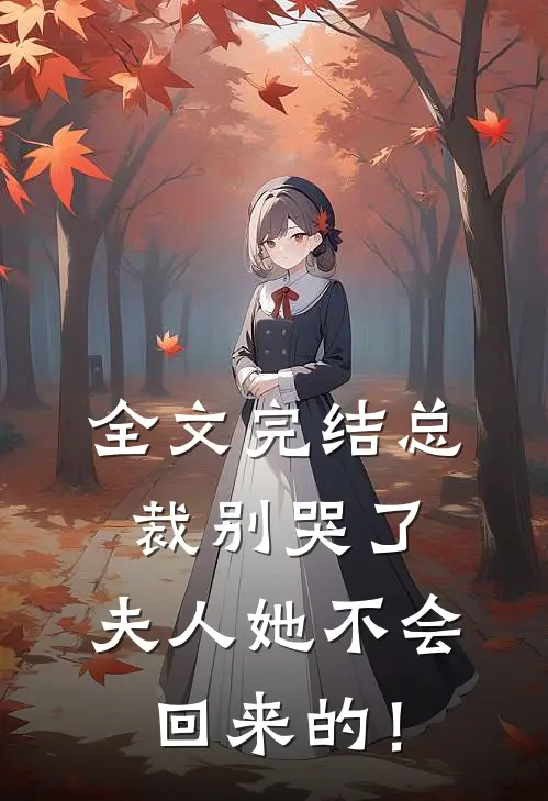 全文完结总裁别哭了，夫人她不会回来的！