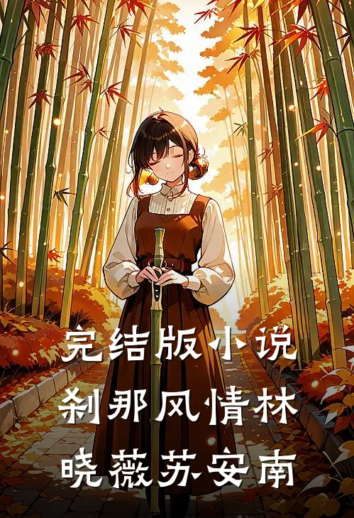 完结版小说刹那风情林晓薇苏安南