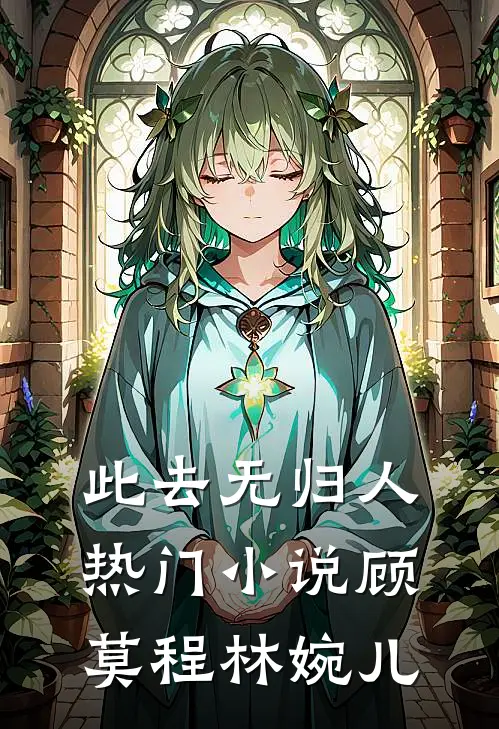此去无归人热门小说顾莫程林婉儿