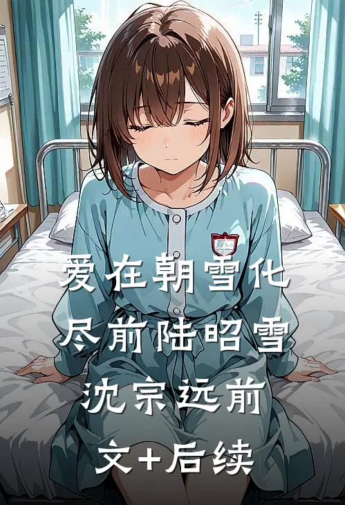 爱在朝雪化尽前陆昭雪沈宗远前文+后续