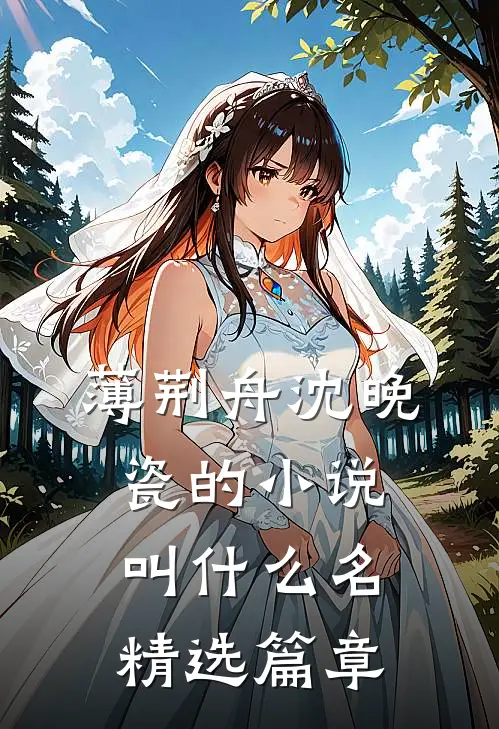 薄荆舟沈晚瓷的小说叫什么名精选篇章