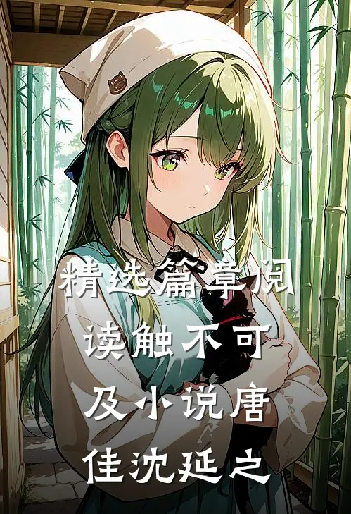 精选篇章阅读触不可及小说唐佳沈延之