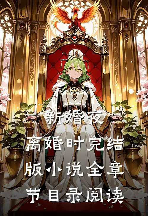 新婚夜，离婚时完结版小说全章节目录阅读