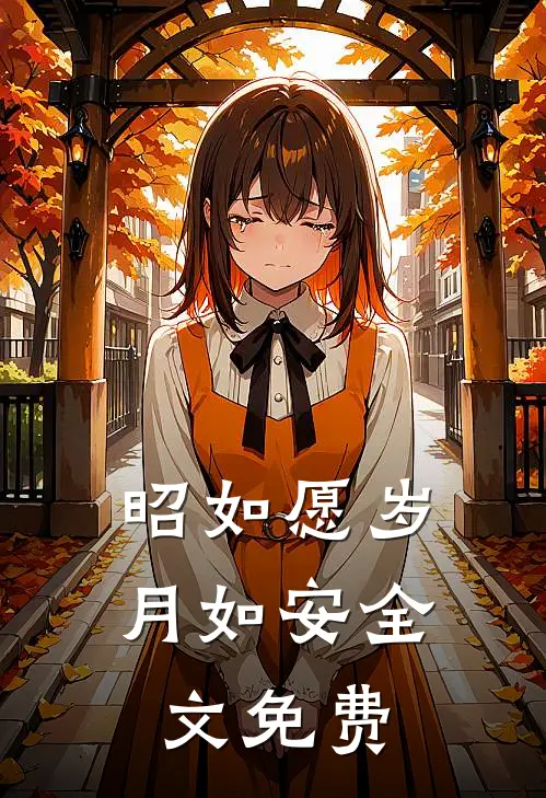 昭如愿岁月如安全文免费